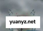 山海仙路伙伴与灵宠选择推荐分享