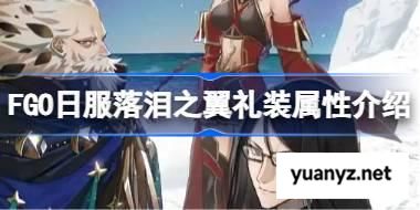 FGO日服落泪之翼礼装属性怎么样 FGO日服落泪之翼礼装属性介绍 