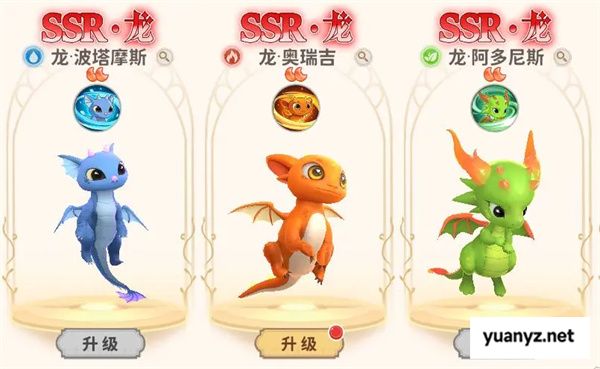 龙骑士学园宠物获取方法攻略分享