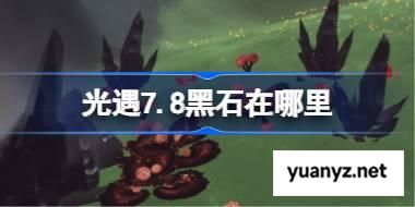 光遇7.8黑石在哪里 光遇7月8日黑石位置攻略 