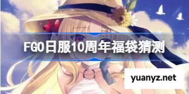 FGO日服10周年福袋有哪些可以选 FGO日服10周年福袋猜测