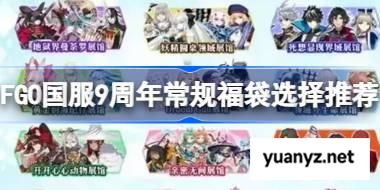 FGO国服9周年常规福袋该怎么选择 FGO国服9周年常规福袋选择推荐