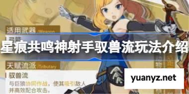 星痕共鸣神射手驭兽流该怎么玩 星痕共鸣神射手驭兽流玩法介绍 