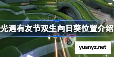 光遇有友节双生向日葵位置介绍 光遇有友节双生向日葵位置在哪 